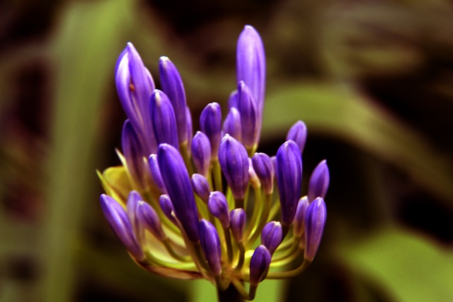 英媒：利物浦与塞梅尼奥谈妥个人条款，并匹配了曼城的报价